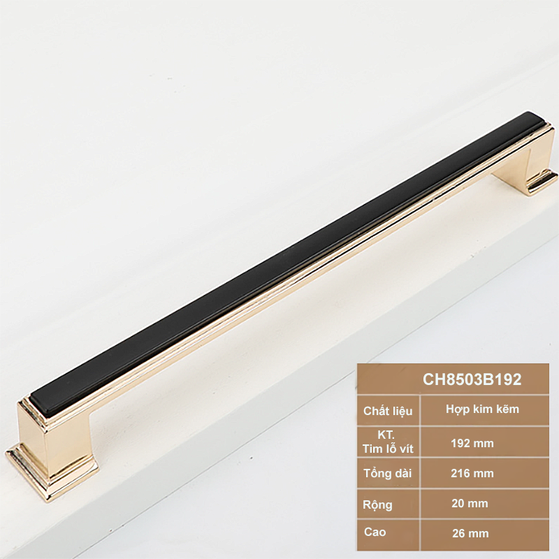 Tay-nam-tu-tan-co-dien-CH8503B192-1.png
