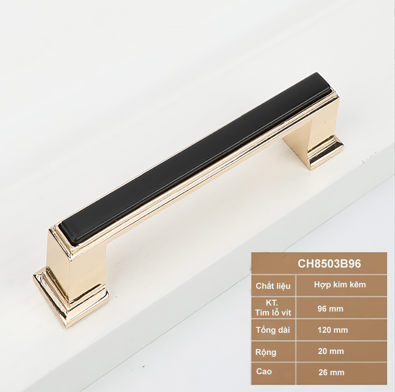 Tay-nam-tu-tan-co-dien-CH8503B96-1.png