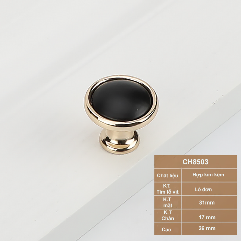 Tay-nam-tu-tan-co-dien-CH8503NT-1.png